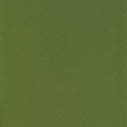 Tovega olive green F6471104