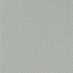 Tovega ashgrey F6471112