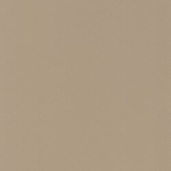Tovega birch F6471085