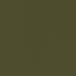 cactus 64-781